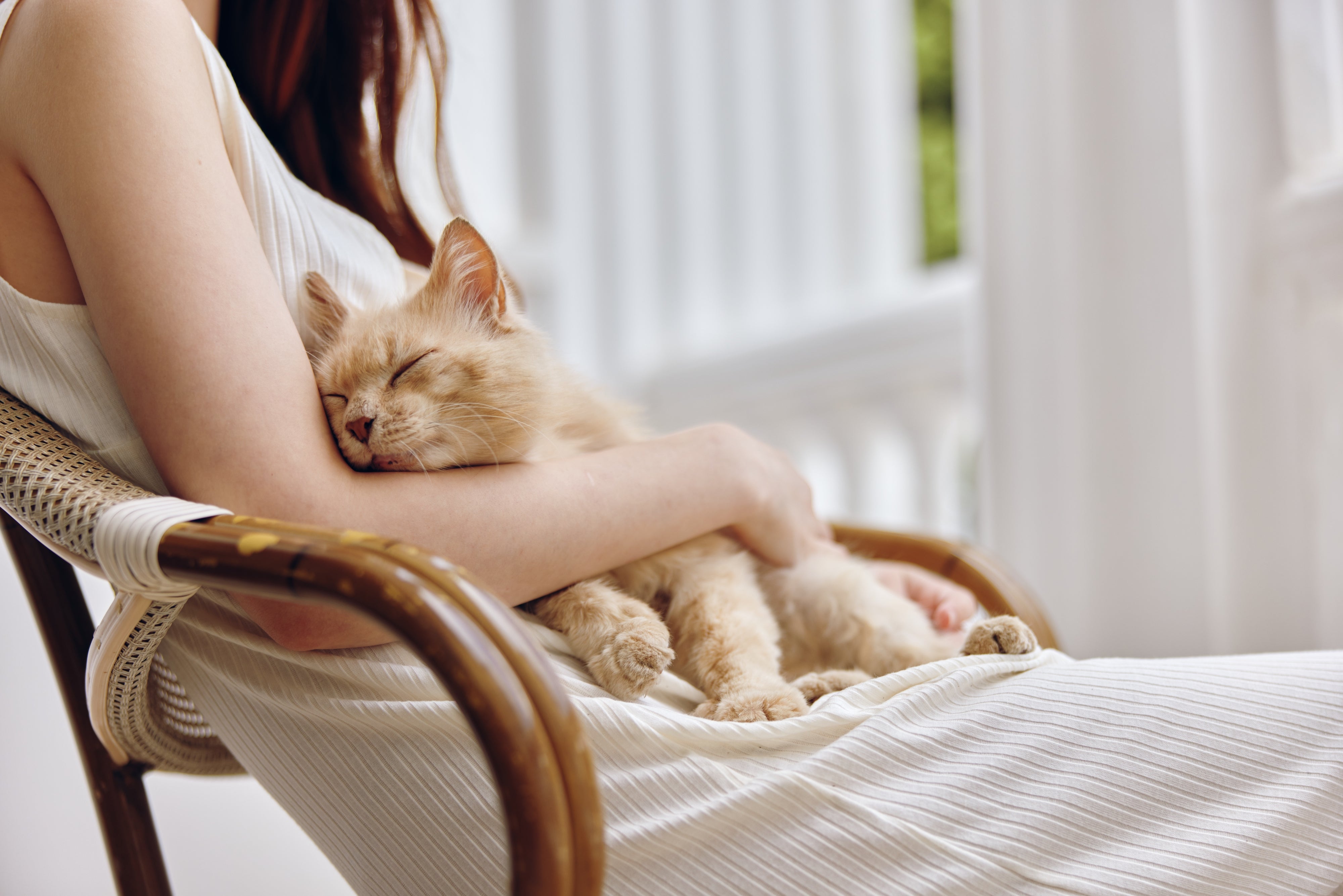 Bill & Coo by ROOT - Pure Clean Pets