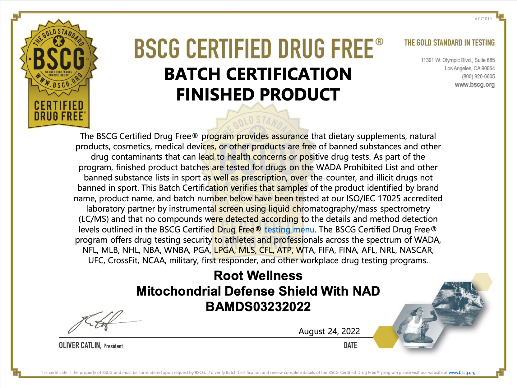 ROOT IMMUNE DEFENSE SHIELD - (vormals MITOCHONDRIA DEFENSE SHIELD)